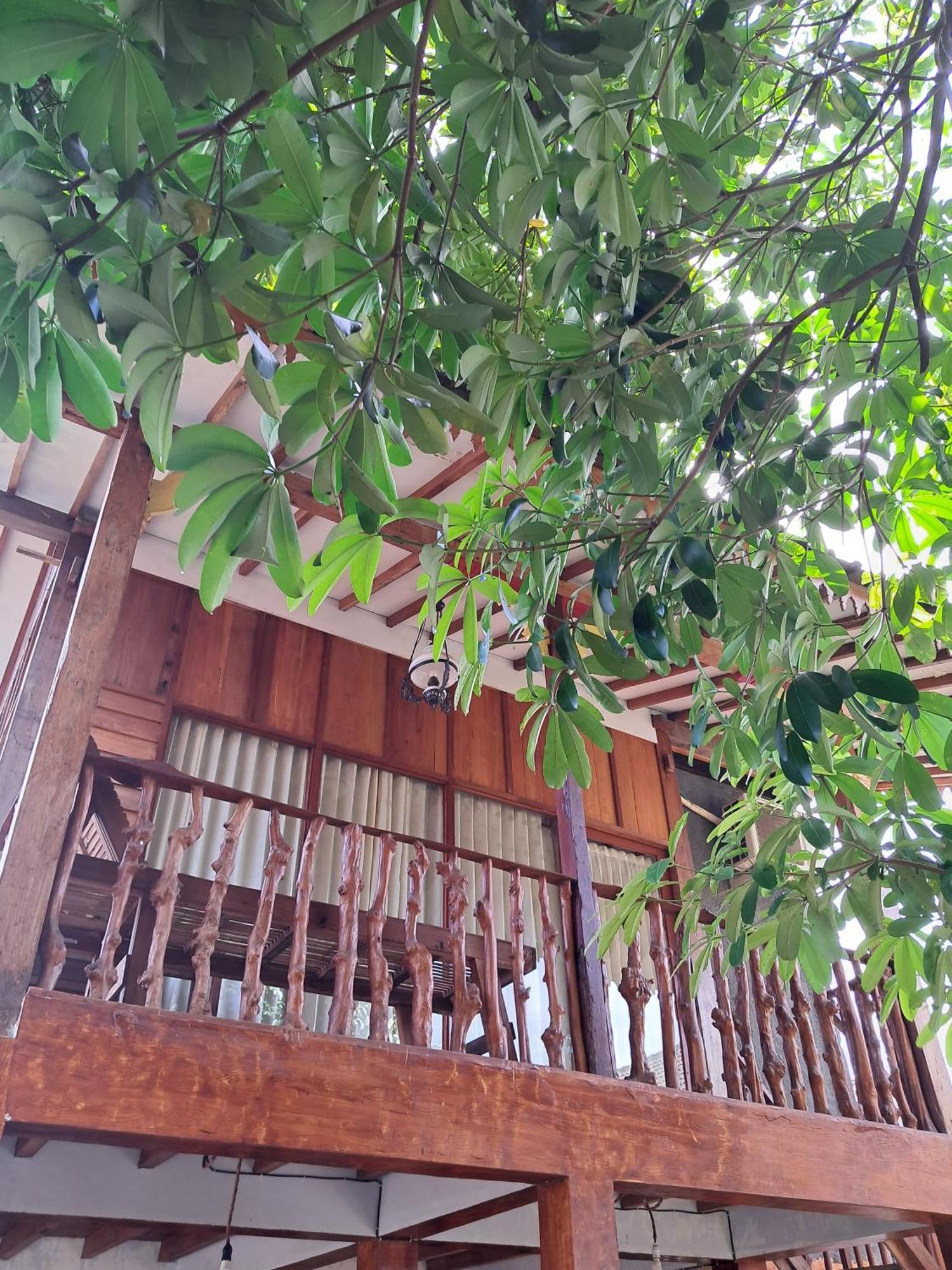 Diana'S Homestay Banyuwangi  Exterior photo